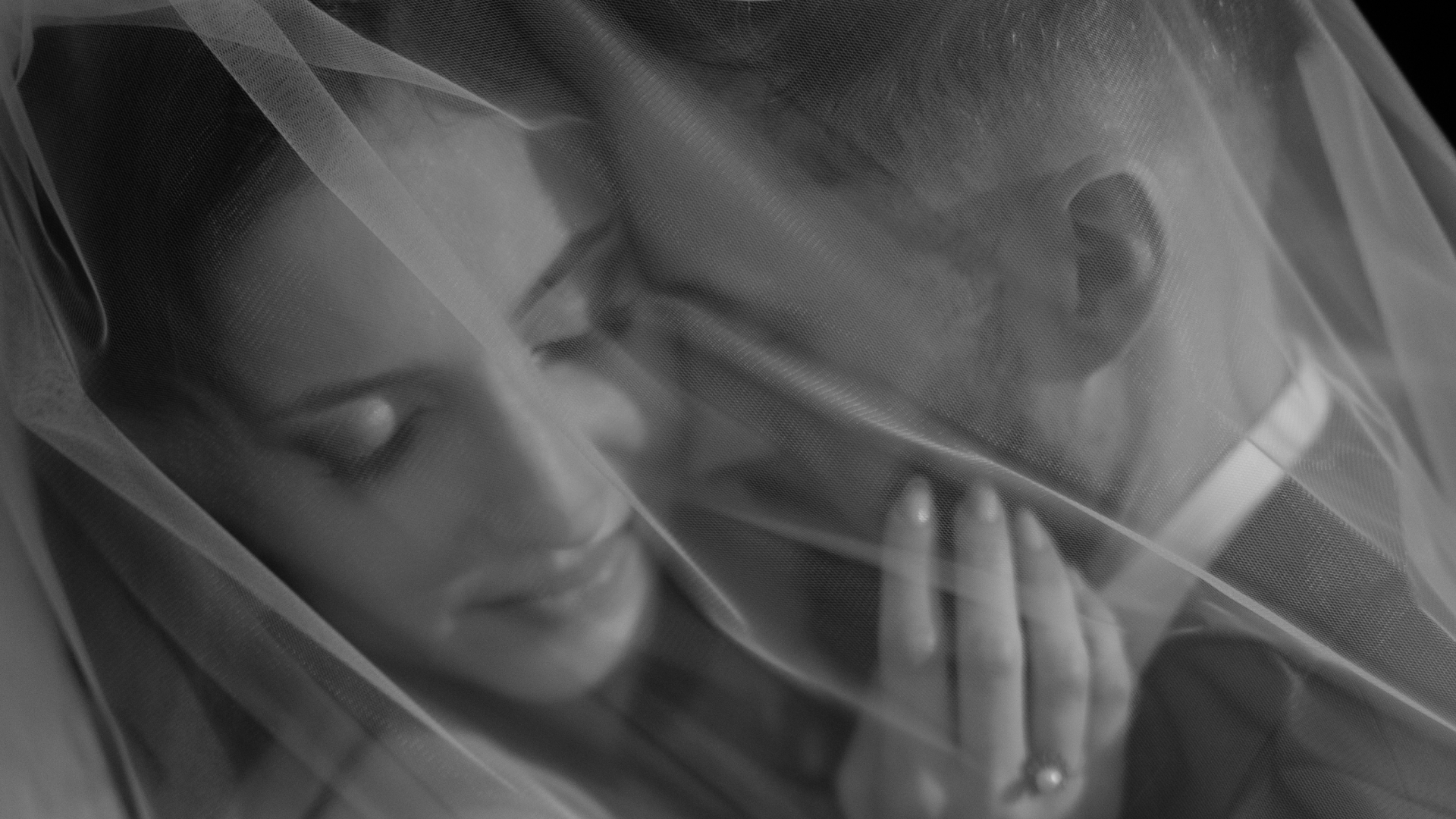 Wedding Content Creator, Rolki ślubne, reelsy ślubne, rolki i reelsy ślubne z wesela - Rzeszów, Podkarpacie